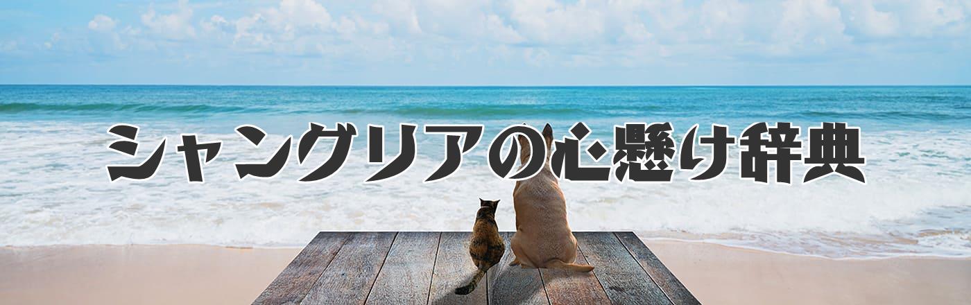 DAZN for BUSINESSにクーポンはある？【2025年最新】料金・キャンペーン・導入メリットを徹底解説！